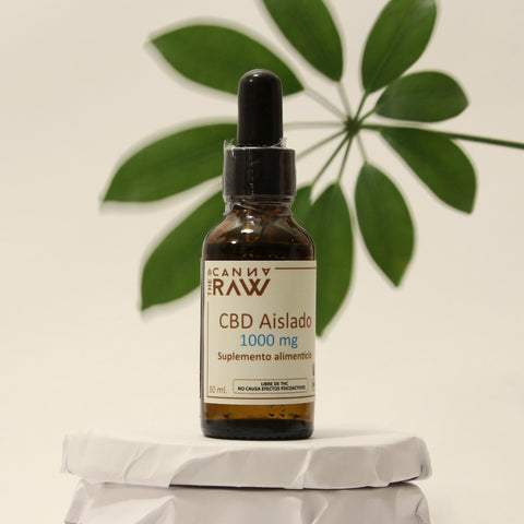 ¿Qué es el aceite de CBD?