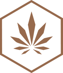 EXPLORA NUESTRA VARIEDAD DE PRODUCTOS: