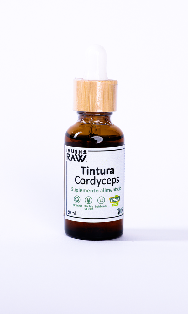 Tintura Cordyceps