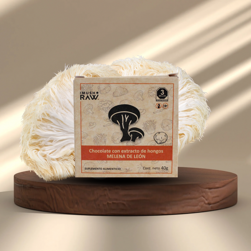 Chocolate con Hongo Melena de León