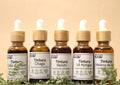 Tintura Chaga