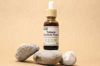 Kit Focus Plus (Melena de León, Rhodiola Rosea y Ashwagandha)