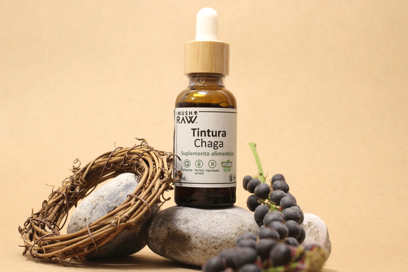 Tintura Chaga