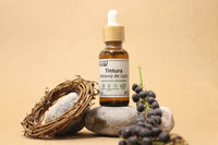 Kit Focus Plus (Melena de León, Rhodiola Rosea y Ashwagandha)