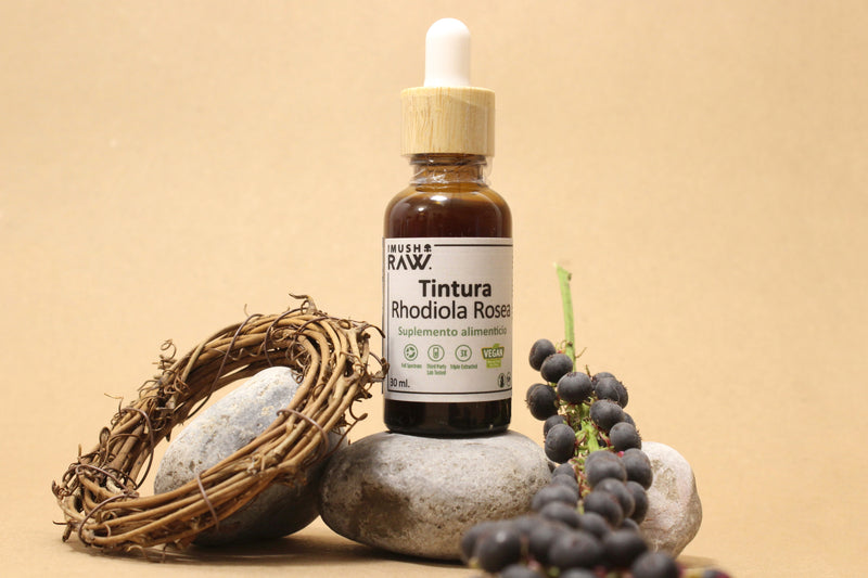 Tintura Rhodiola