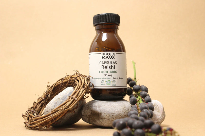 Equilibrio, Cápsulas Hongo Reishi