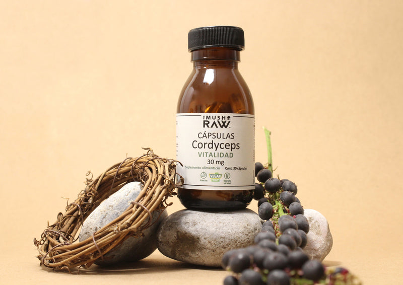 Vitalidad, Cápsulas de Hongo Cordyceps