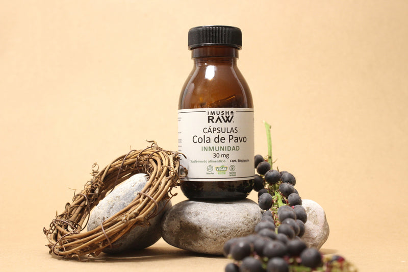 Inmunidad, Cápsulas de Hongo Cola de pavo