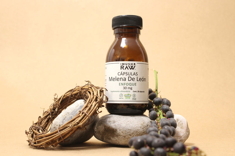 Enfoque, Cápsulas de hongo Melena de León