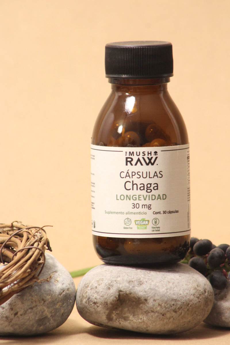 Longevidad, Cápsulas de Hongo Chaga
