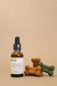 Gotero para perros y gatos