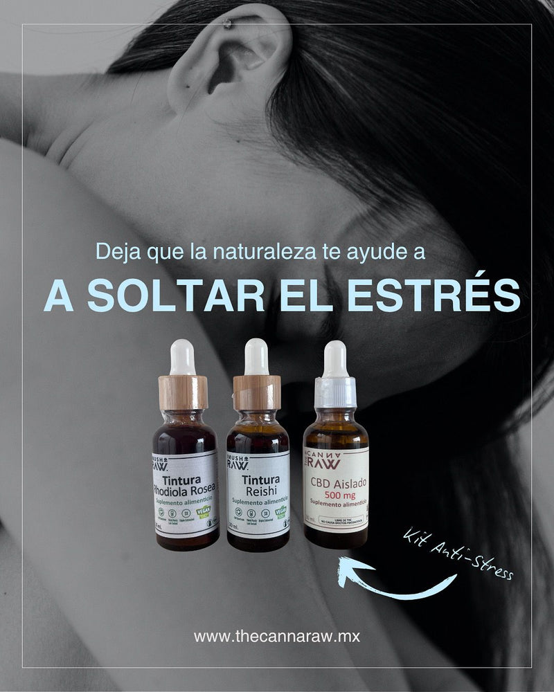 Kit Anti-Stress (Tintura Reishi, Tintura Rhodiola Rosea, Gotero CBD Aislado 500mg)