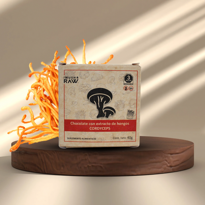 Chocolate con Hongo Cordyceps