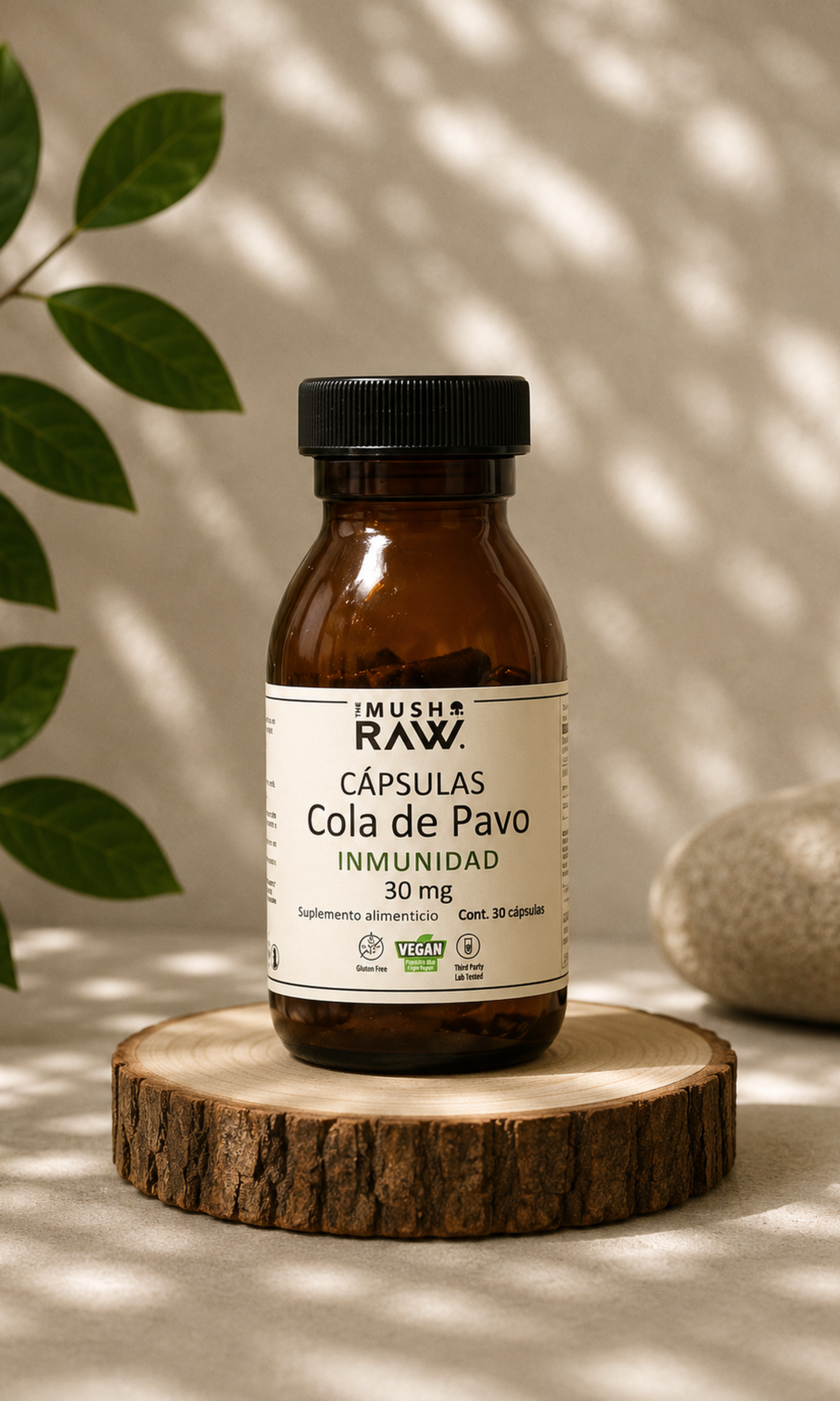 Inmunidad, Cápsulas de Hongo Cola de pavo
