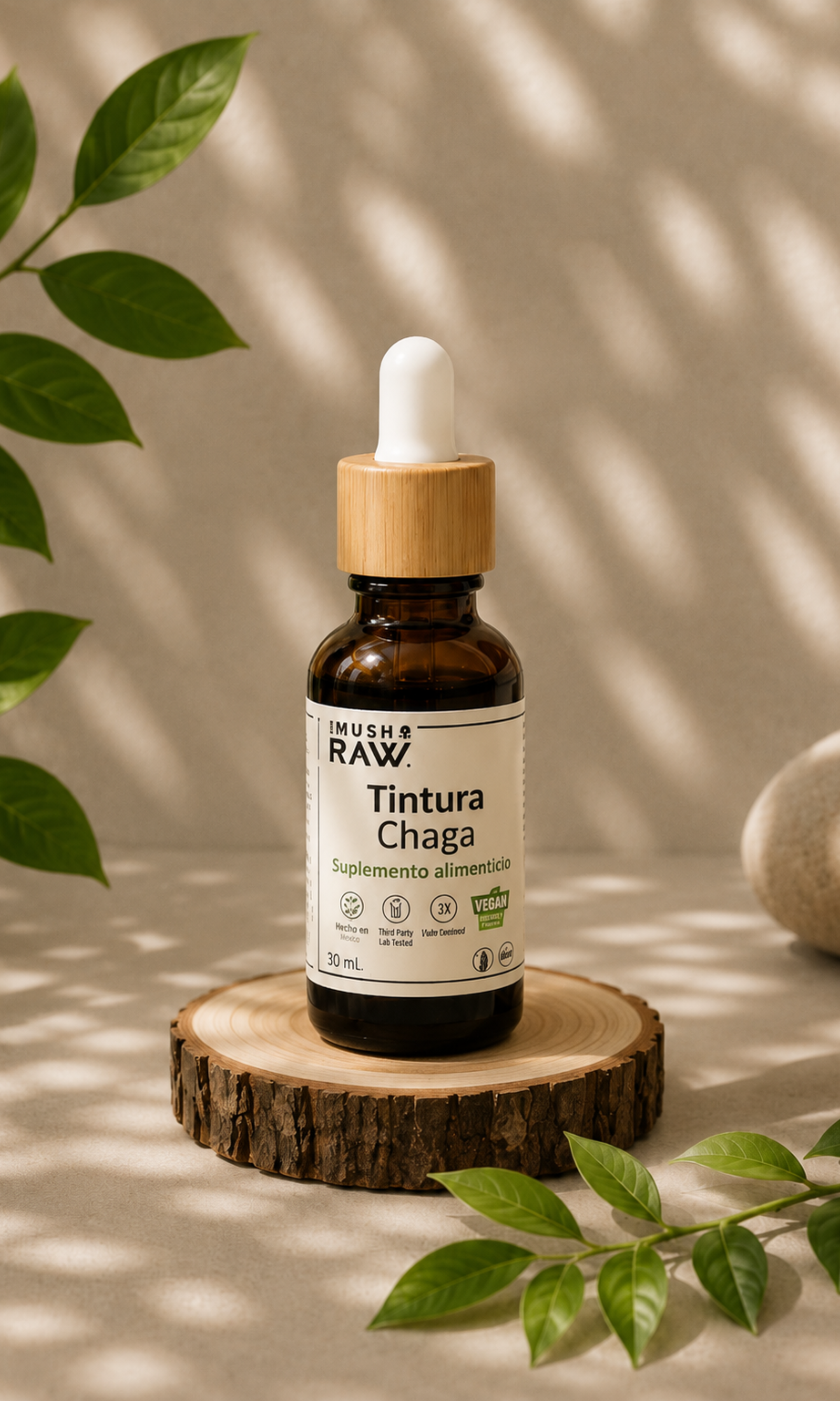 Tintura Chaga