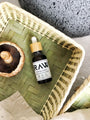 Tintura Chaga