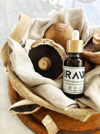 Tintura Melena de León