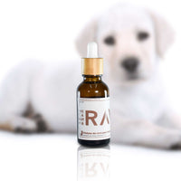 Gotero para perros y gatos